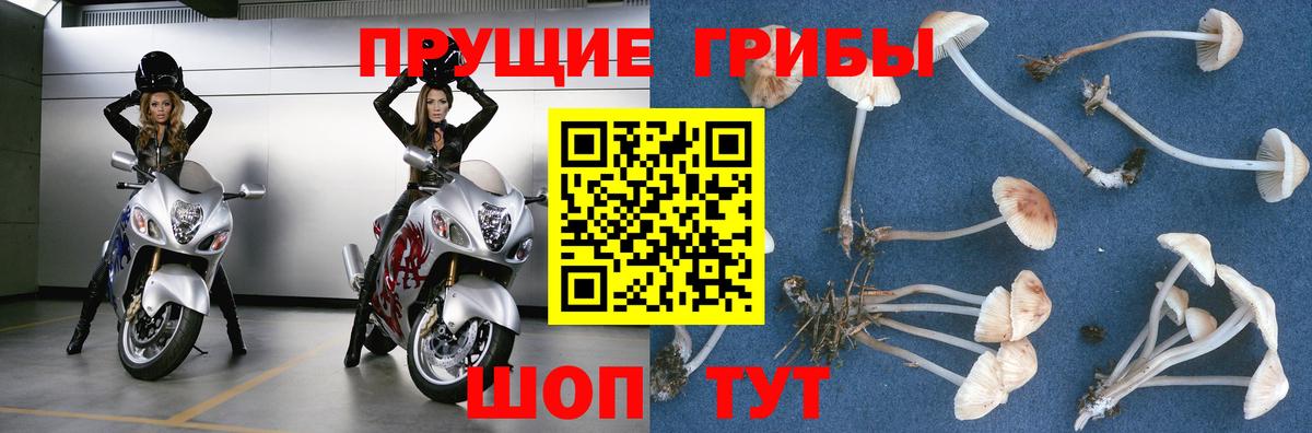 Псилоцибиновые грибы мухоморы  Вход с VPN  Старая Русса 
