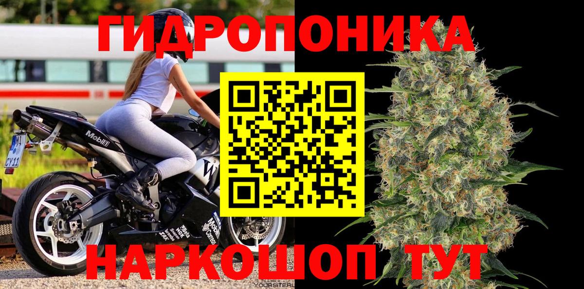 Шишки марихуана план Старая Русса